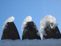 Winter Forms; comments:9