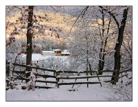 Зимна; comments:19