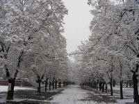 Зима; comments:8