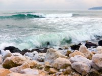 Варна 23.01.06_3; comments:16