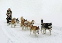 Впряг; comments:149