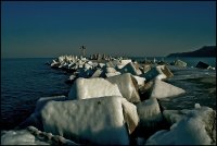 saltice; comments:20