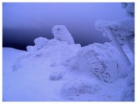 Моята зимна приказка; comments:7