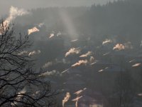 утро; comments:10