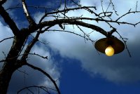 alternative; Коментари:32