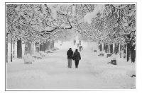 Двама; comments:8