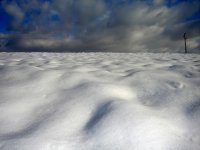 no name ( ID=250714 ); comments:14