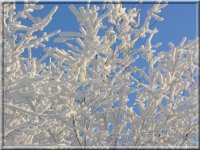 no name ( ID=258398 ); comments:12