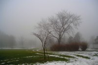 Мъглива ...; comments:6