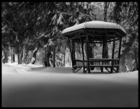 no name ( ID=260022 ); comments:32