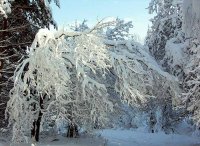 ПОКЛОН; comments:9