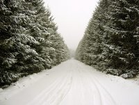 zimen tunel; comments:13