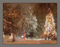 Зимно вечерно затишие; comments:34