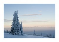 Приказка по залез; comments:20