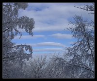 Зимно небе; comments:15