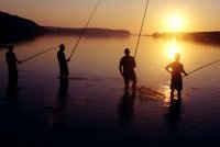 залез; Коментари:9