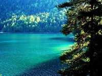 Светлина и Сянка; Коментари:18