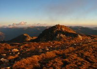 И сърцето на лятото няма да спре!; comments:13