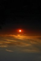 250; Коментари:3