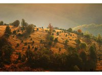 no name ( ID=274719 ); comments:50