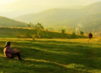 no name ( ID=274941 ); comments:28