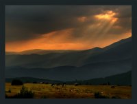 no name ( ID=276380 ); comments:37