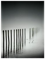 no name ( ID=276381 ); comments:78