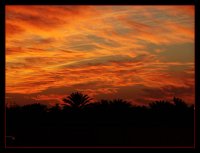 Fire In The Sky; comments:19