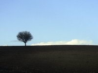 самота; comments:3