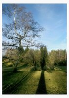 no name ( ID=276282 ); comments:14