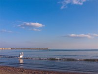 морето преди да заспи; Коментари:7