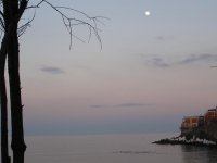 Утопия; Коментари:7