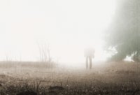 ...; Коментари:2