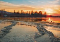 Там някъде; Коментари:39