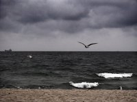 Ех морето; Коментари:10