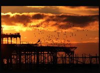 края на деня.....; Коментари:31