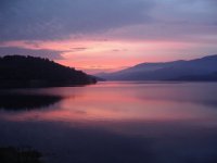 Cvetovete na prirodata; Коментари:28