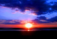 zalez; Коментари:11