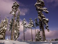 юндола; Коментари:10