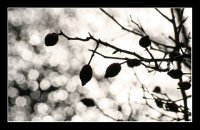 Край реката; comments:14