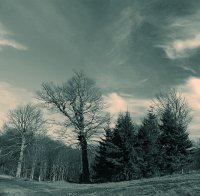 no name ( ID=275386 ); comments:13