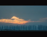 до утре.; Коментари:24