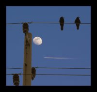 Къде отиваш, слънце...?; comments:30