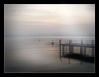 ДЗЕН; comments:44