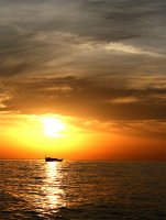 без име ( ID=281395 ); Коментари:11