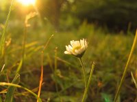 Zalez; Коментари:7