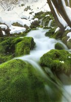 Когато зимата заспива; comments:18