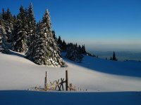 xXx; Коментари:21