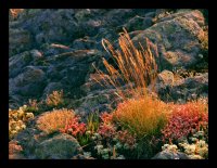 Когато Слънцето запомня Света преди да си отиде; Коментари:23