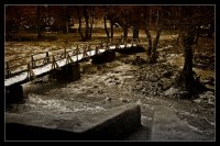 *; Коментари:10